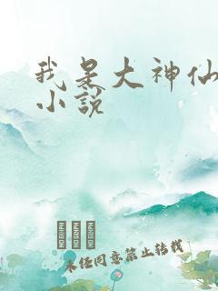 我是大神仙时江小说