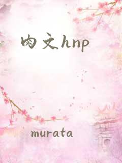 肉文hnp