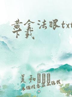 黄金法眼txt下载