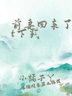 前妻回来了txt下载