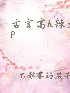 古言高h辣文np