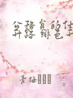 公务员的仕途上升路 绯色升迁