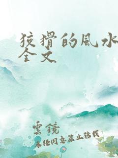 狡猾的风水相师全文