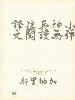 锋狼兵神小说全文阅读无弹窗免费