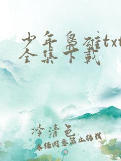 少年枭雄txt全集下载