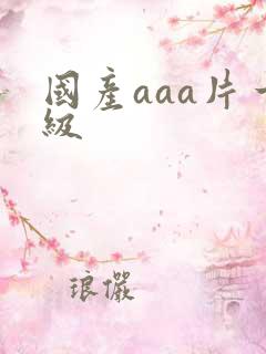 国产aaa片一级
