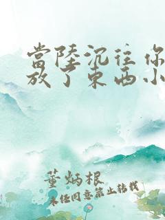 当陆沉往你里面放了东西小玩具