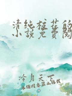 清纯校花的秘密小说免费阅读全文