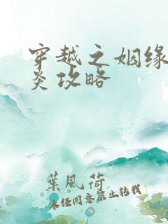 穿越之姻缘劫萧炎攻略
