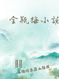 金瓶梅小说在线