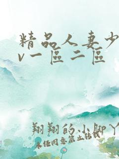 精品人妻少妇av一区二区