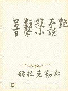 另类杀手艳福星有声小说