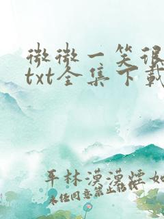 微微一笑很倾城txt全集下载