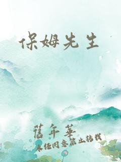 保姆先生