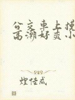 公交车上摸到我高潮好爽小说