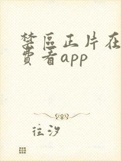 禁区正片在线免费看app