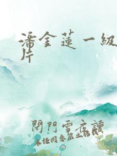 潘金莲一级片淫片