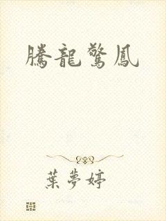 腾龙惊凤