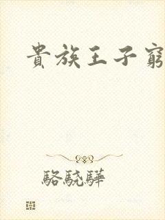贵族王子穷公主