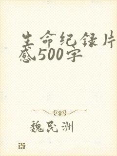 生命纪录片观后感500字