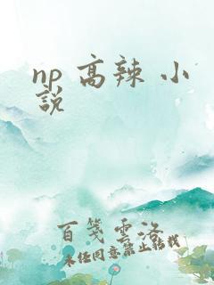 np 高辣 小说