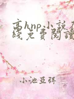 高hnp小说在线免费阅读