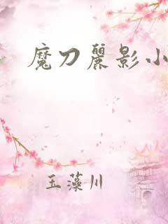 魔刀丽影小说