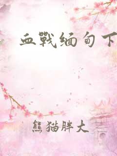 血战缅甸下载