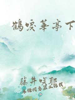鹤唳华亭下载