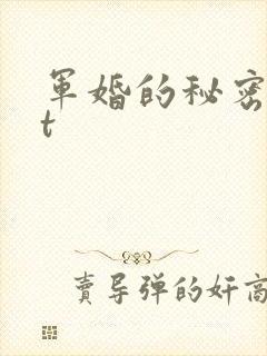 军婚的秘密txt