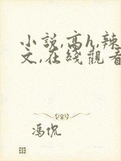 小说,高h,辣文,在线观看