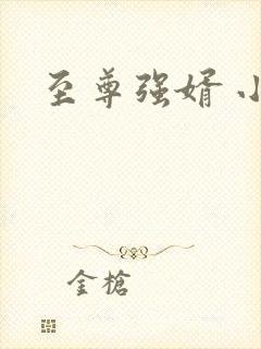 至尊强婿 小说