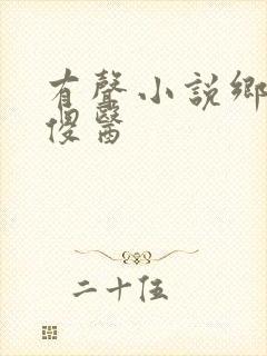 有声小说乡村小傻医