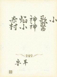 赤焰神歌小说乡村小神医
