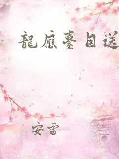 龙应台目送