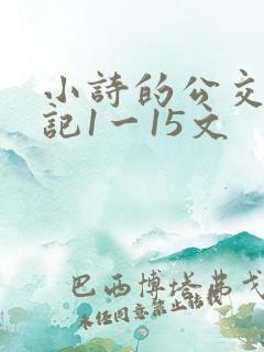 小诗的公交车日记1一15文