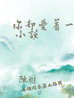 你却爱着一个他 小说