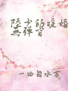 陆少的暖婚新妻无弹窗