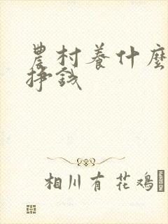 农村养什么牛好挣钱