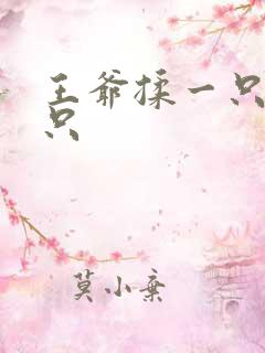 王爷揉一只舔一只