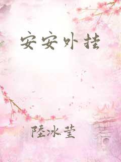 安安外挂