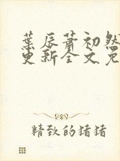 叶辰萧初然最新更新全文免费