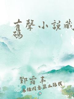 有声小说藏地密码