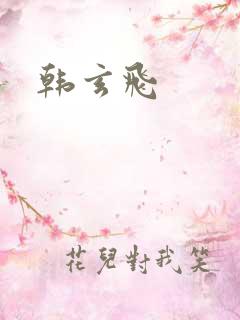韩玄飞