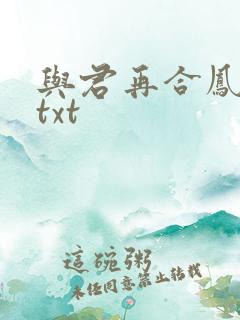 与君再合凤求凰txt