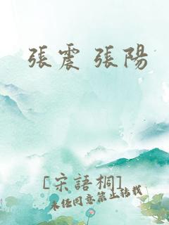 张震 张阳