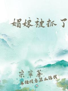 媚娘被抓了