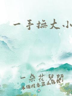 一手抚大小说
