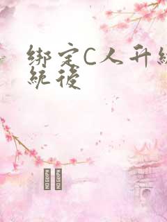 绑定C人升级系统后