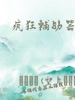 疯狂辅助器